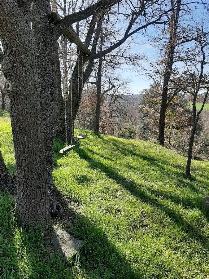 Allotjament Rural Solsona Extérieur photo