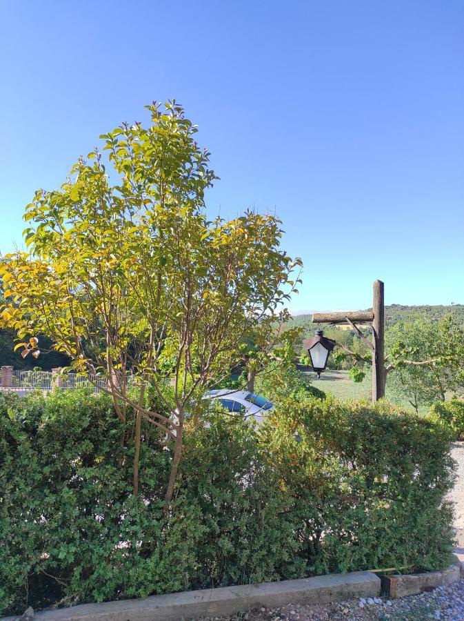 Allotjament Rural Solsona Extérieur photo